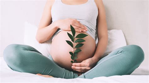 Here S What It Really Means When You Re Carrying High During Pregnancy