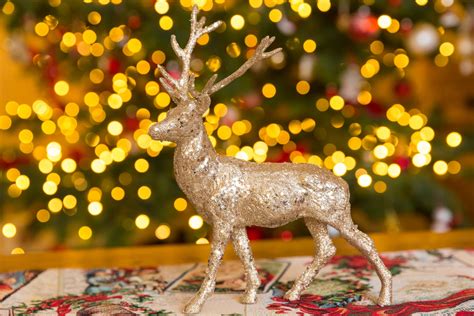 Christmas Reindeer Decoration Free Stock Photo Public Domain Pictures
