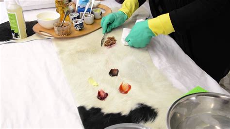 Complete one section before starting the next. How to Clean a Cowhide Rug 2019 - Cowhide Cleaner Demo by ...