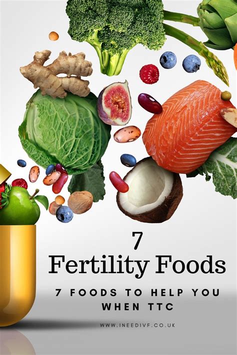 7 Fertility Foods 7 Foods Which Can Help You Get Pregnant Whilst Ttc Fertility Foods