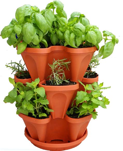 7 Best Self Watering Planters For Indoors And Outdoors