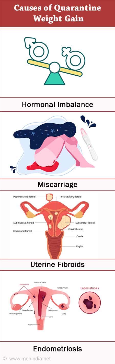 Uterine Tissue During Period