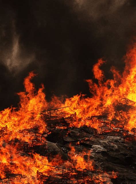 This section of the site is updated regularly with any newly released products from across our ranges. Showcase of Firey backgrounds