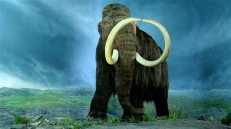 Cloning A Woolly Mammoth Is An Actual Ongoing Science Project