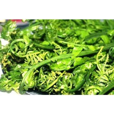 Dear pucuk paku (edible fern shoots) you are so delicious, where have you been all my life?? Purchase Wholesale Pucuk Paku 400g/bundle (sold by bundle ...