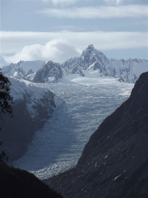 Glacier Country Wildlife Location In New Zealand Australasia