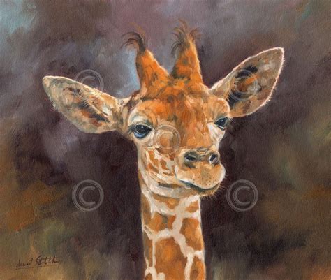 Wildlife Art Print Giraffe Portrait By David Stribbling Poster 42x50