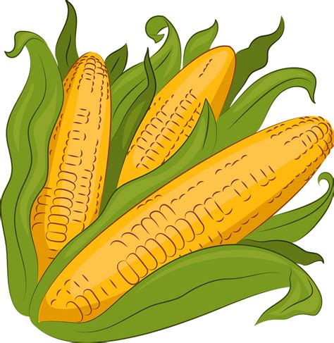 Download High Quality Corn Clipart Husk Transparent P