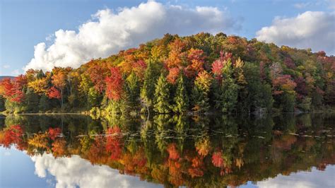 Green Red Yellow Autumn Leafed Spring Trees Forest Reflection On River