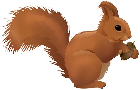 Squirrel Cartoon Png Clipart Gallery Yopriceville High Quality