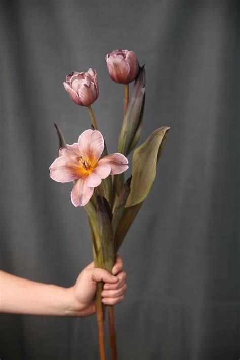A Person Holding Some Flowers In Their Hand