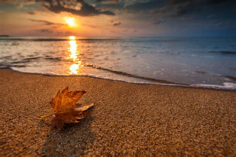 176700 Fall Beach Stock Photos Pictures And Royalty Free Images Istock