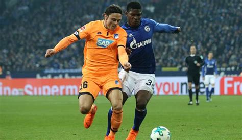 Official tsg hoffenheim instagram account 🔵⚪️ 🎵 tiktok: TSG 1899 Hoffenheim gegen FC Schalke 04 heute live im TV ...