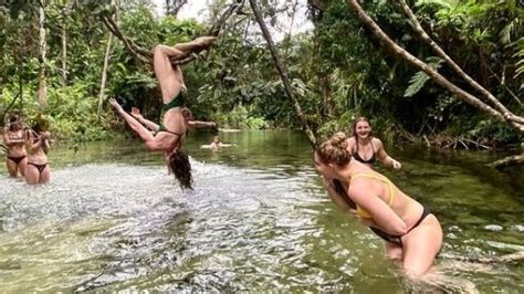 Nationals cabinet minister matt canavan doesn't agree that breaking up the queensland lnp would solve any problems politically. Hanging from vines above tropical waterholes, how our ...