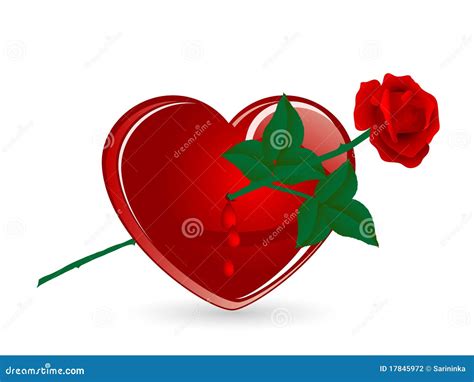 Heart And Rose Stock Vector Illustration Of Tear Romance 17845972