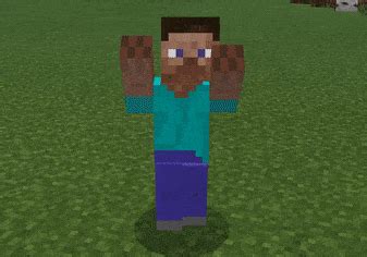 There are currently 20 emotes. Emote Ball Head Addon/Mod Minecraft PE 1.13.0.17, 1.13.0 ...