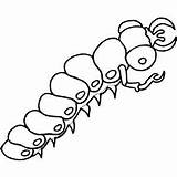 Millipede Coloring Template Centipede sketch template