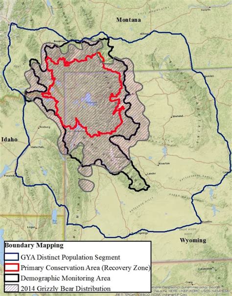 Wyoming Says Grizzly Hunting Plan Ensures Bears Forever