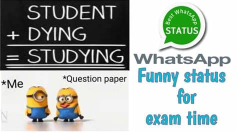 I love to walk in fog, because nobody knows i'm smoking. Best and Funny Whatsapp Status for exam time - YouTube
