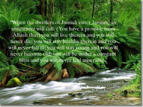 25 Ways To Enter Jannah Paradise Hadith Islamic Information Paradise