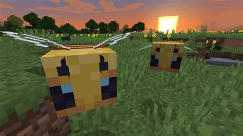 At the moment, bee nests are only found to spawn in these locations A Quick Busy Bee Look at Minecraft's Buzzy Bee Update ...