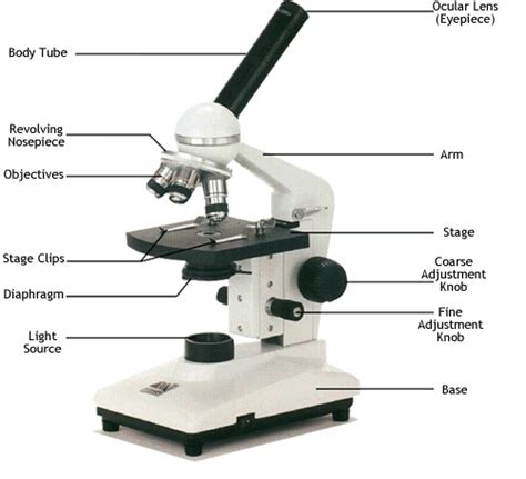 Microscope Labeled Cweaver Biological Science Picture