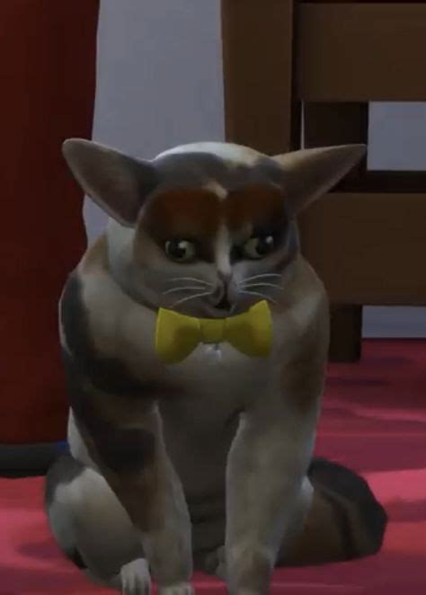 38 Spleens Ideas In 2021 Cat Sim Cats Sims 4