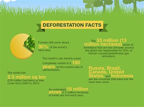 Infographic Why Urban Forests Are Essential To Successful Cities Deforestation Facts What Is