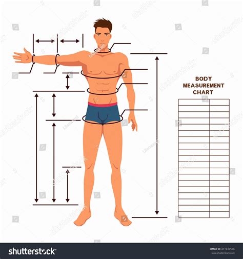 Male Body Measurement Chart Scheme Measurement Stock Vector Royalty