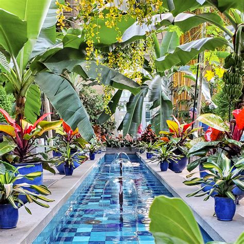 The United States Botanic Garden Adventures In Dc Aloha Lovely
