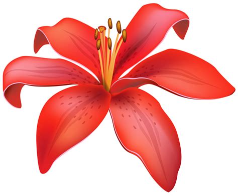 Here you can find the most beautiful pictures of rose flowers. Red Lily Flower PNG Clipart - Best WEB Clipart