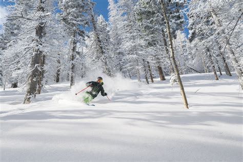 Best ski hotels in new mexico, united states. Ski Taos - Resort Information | Taos Ski Valley