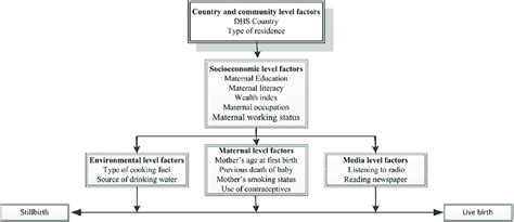 Conceptual Framework For Analysing Factors Associated With Stillbirth