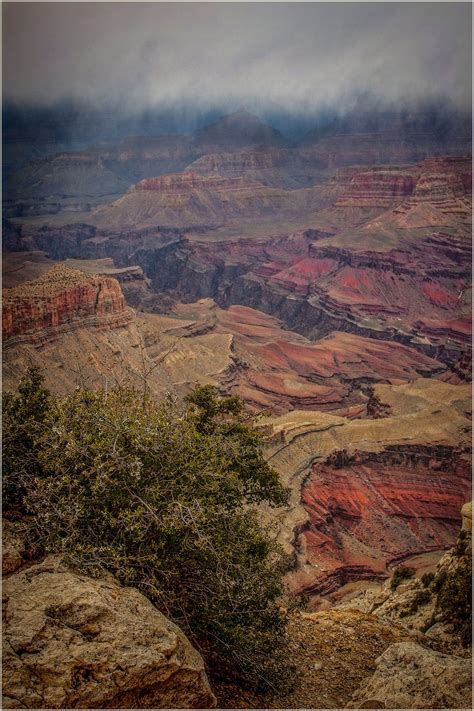 Spring Storm At The Grand Canyon Grand Canyon Canyon Grands