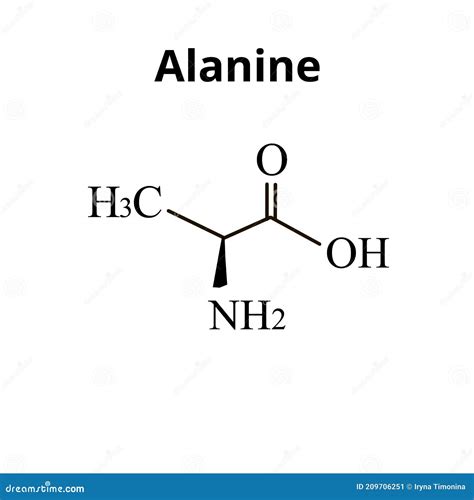 Alanine Is An Amino Acid Chemical Molecular Formula Alanine Amino Acid Stock Vector