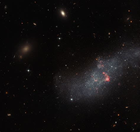 Hubble Telescope Photographs Dwarf Galaxy