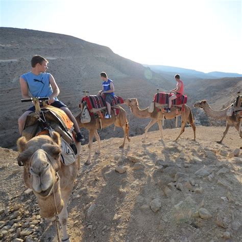 Children used as horse jockeys in southern bangladesh. The Art of Riding Big Humped Camels in the Middle East ...