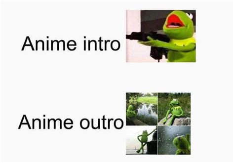Anime In A Nutshell Meme Guy