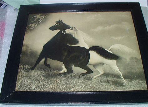 Spirited Horses No 2 Original 1908 Black And White Horses Running From