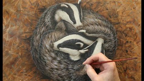 Artwork Of Badgers Sleeping Wildlife Art Robert E Fuller Youtube