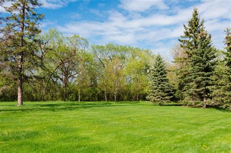 Beautiful Sunny Day In Park At Spring Time Stock Photo Image Of