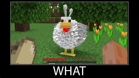 Minecraft Wait What Meme Part 63 Realistic Minecraft Chicken Youtube