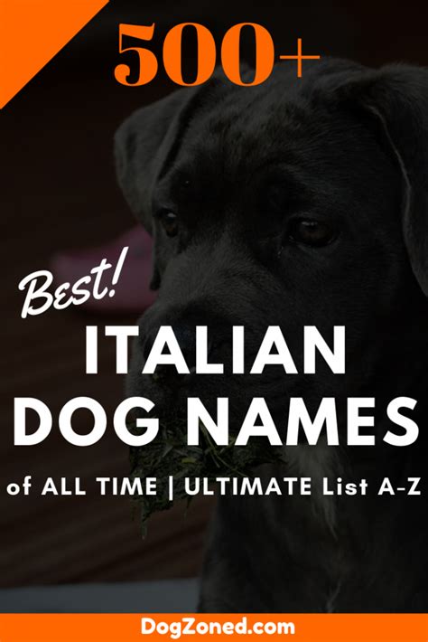 Best Male And Female Italian Dog Names Of All Time Ultimate List A Z