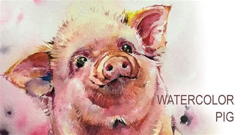 Baby Pig Painting Watercolour Speedpaint Youtube
