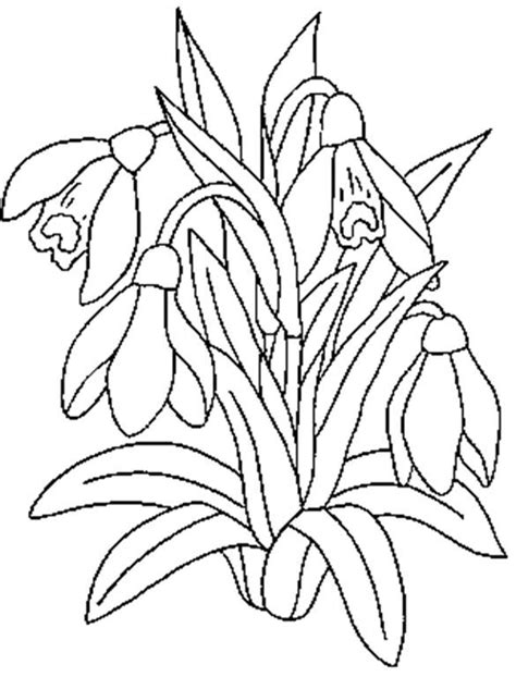 Download Image Result For Ghiocelul Plansa De Colorat Flower Drawin
