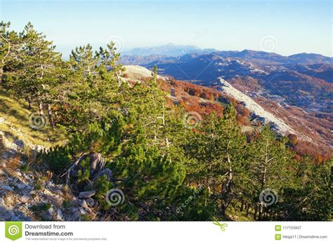 Beautiful Autumn Mountain Landscape With A Green Pine Forest On