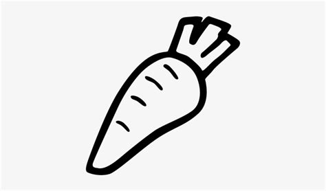 Carrot Hand Drawn Vegetable Vector Hand Drawn Carrot Png Transparent Png X Free