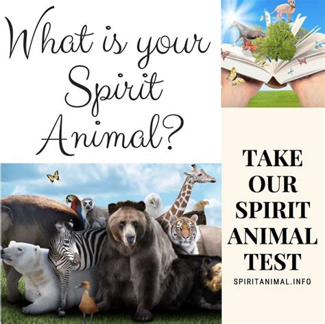 What Is My Spirit Animal Take The Quiz To Find Out Spiritanimal