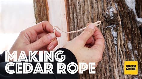 How To Make Cedar Bark Cordage Or Rope Youtube