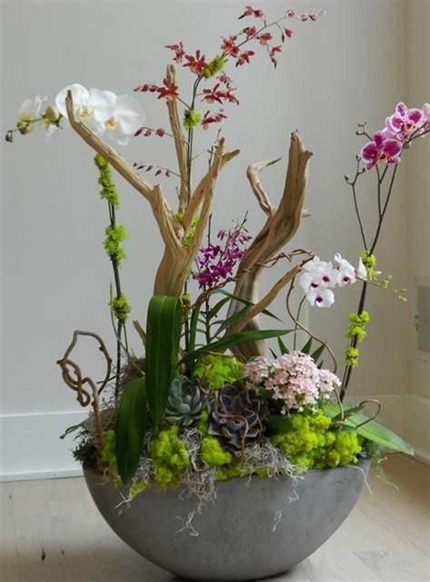 55 Best Orchid Arrangements With Succulents And Driftwood Decomagz Beautiful Orchids